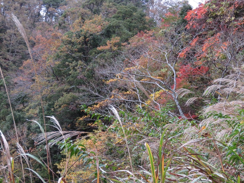 大福山登山