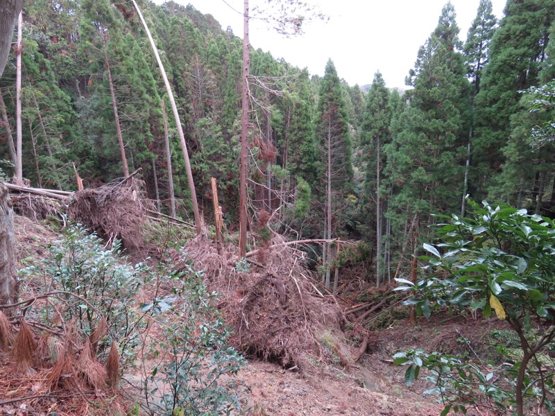 大福山登山