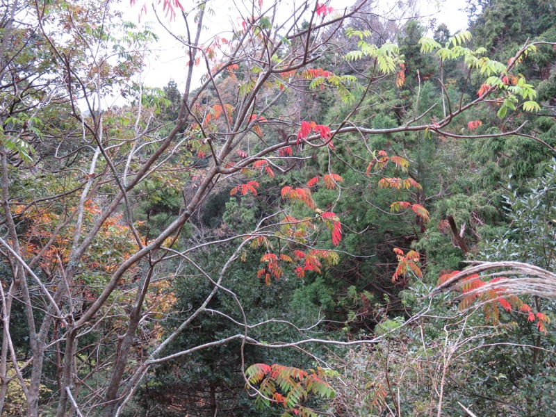 大福山登山