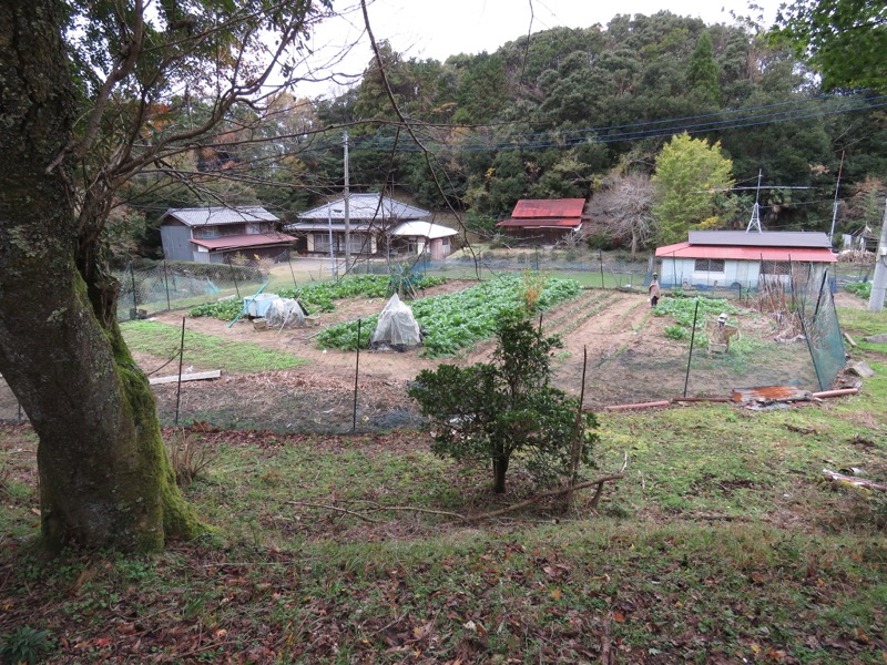 大福山登山