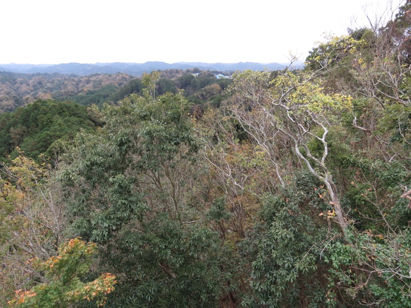 大福山登山