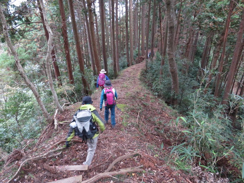 大福山登山