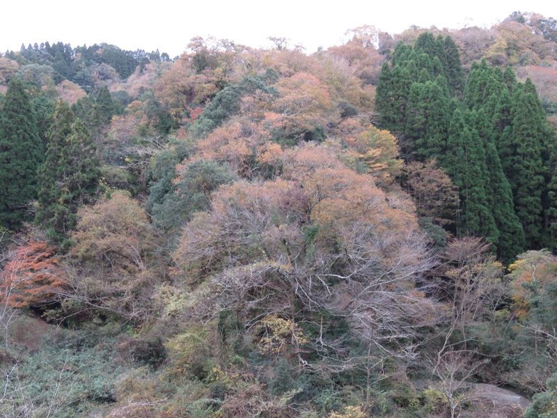 大福山登山