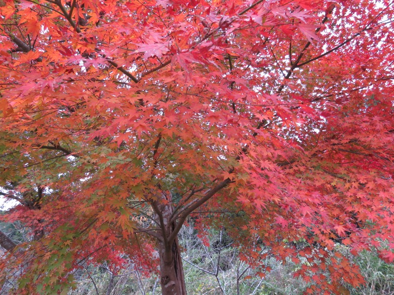 大福山登山