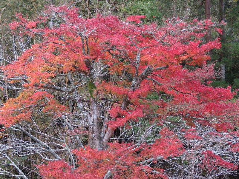 大福山登山