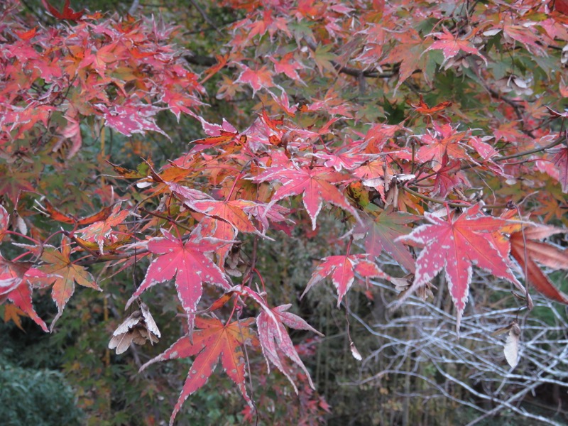 大福山登山