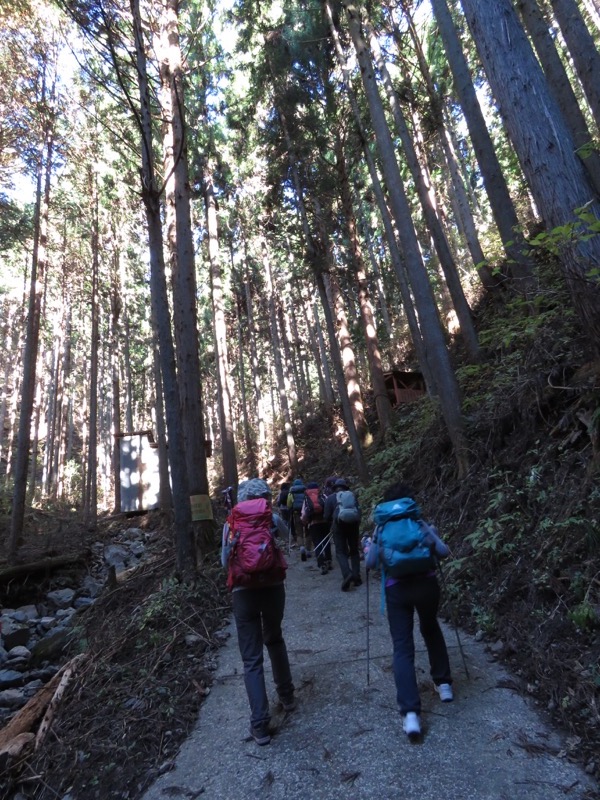 笹尾根〜陣馬山