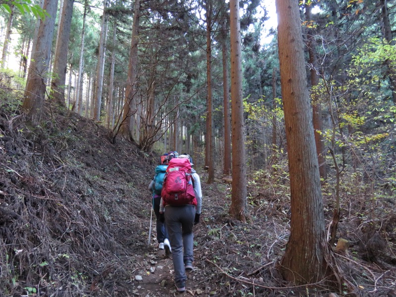 笹尾根〜陣馬山