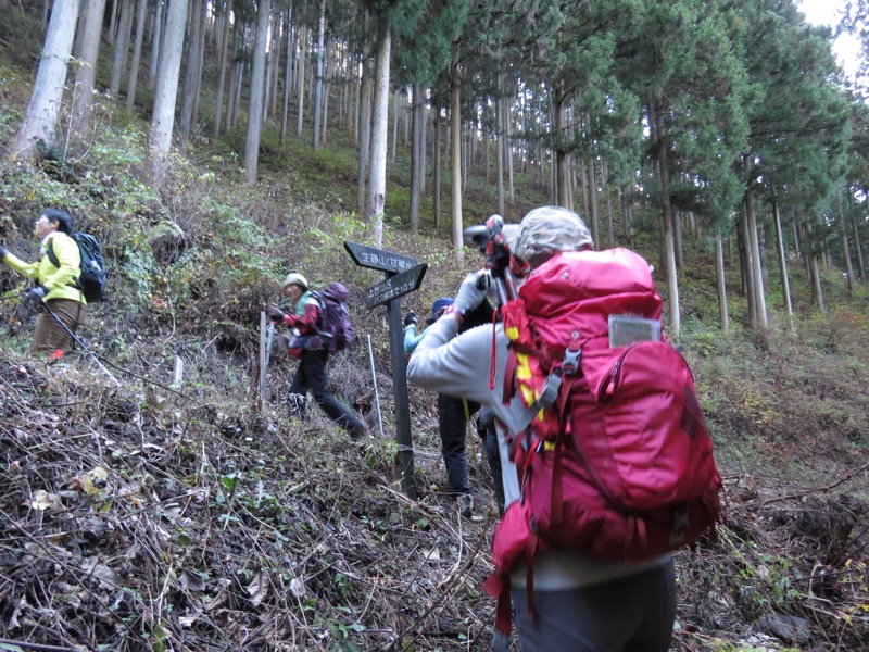 笹尾根〜陣馬山