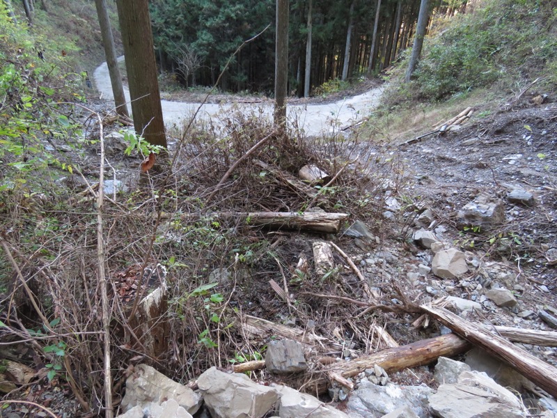 笹尾根〜陣馬山