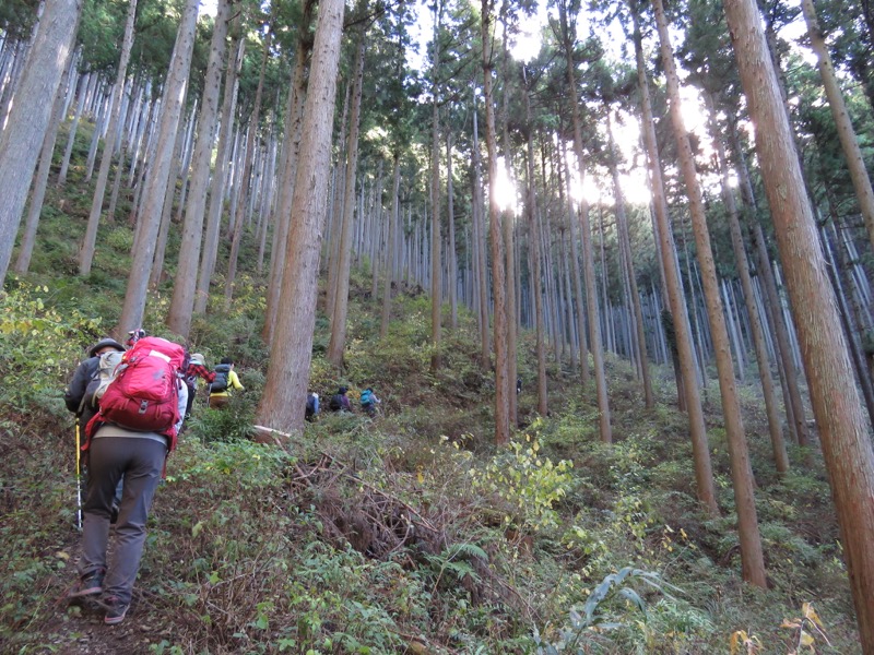 笹尾根〜陣馬山