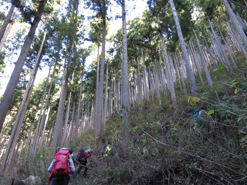 笹尾根〜陣馬山