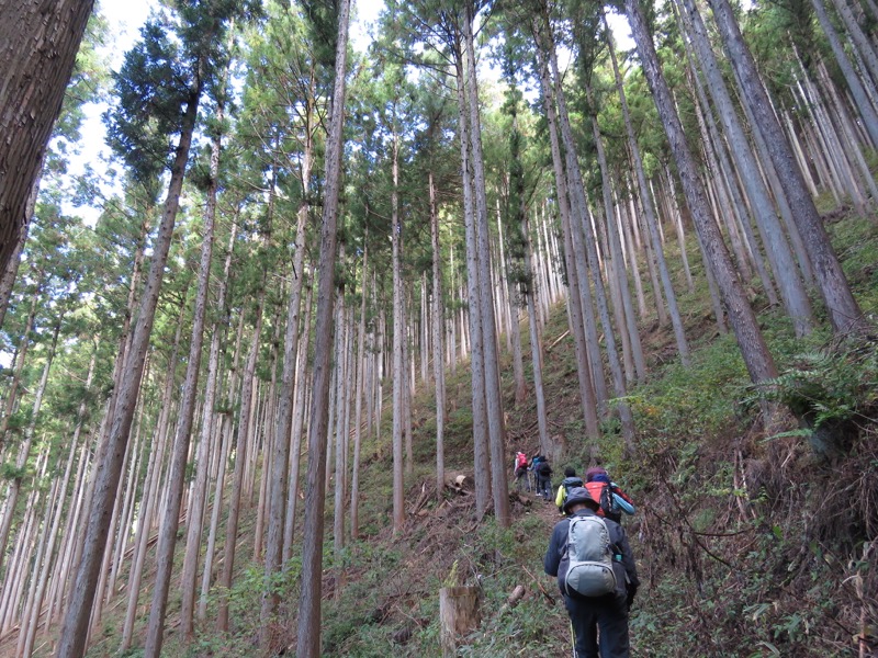 笹尾根〜陣馬山