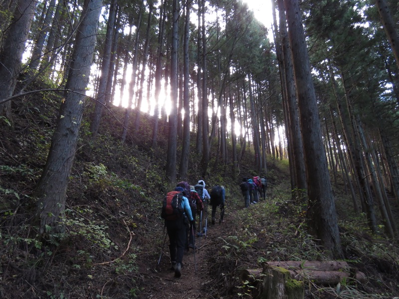 笹尾根〜陣馬山