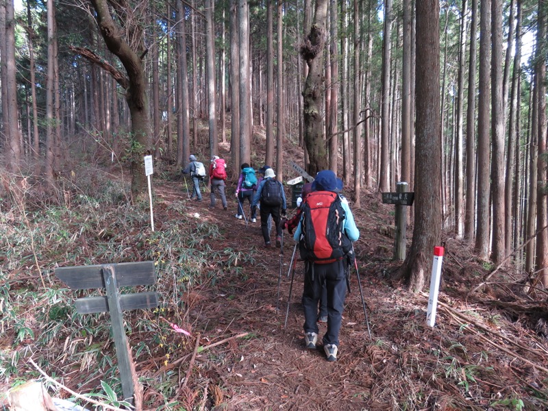 笹尾根〜陣馬山