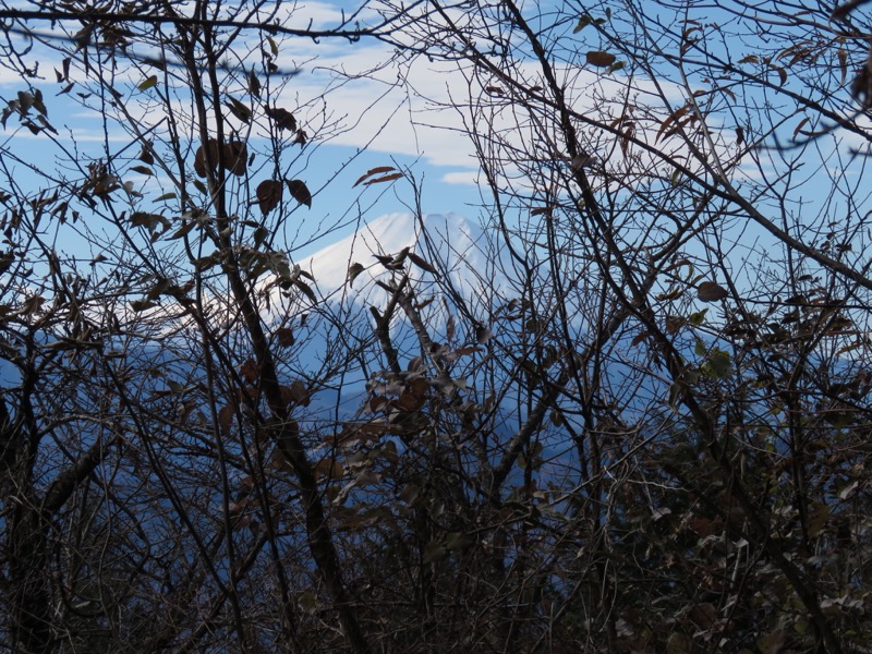 笹尾根〜陣馬山