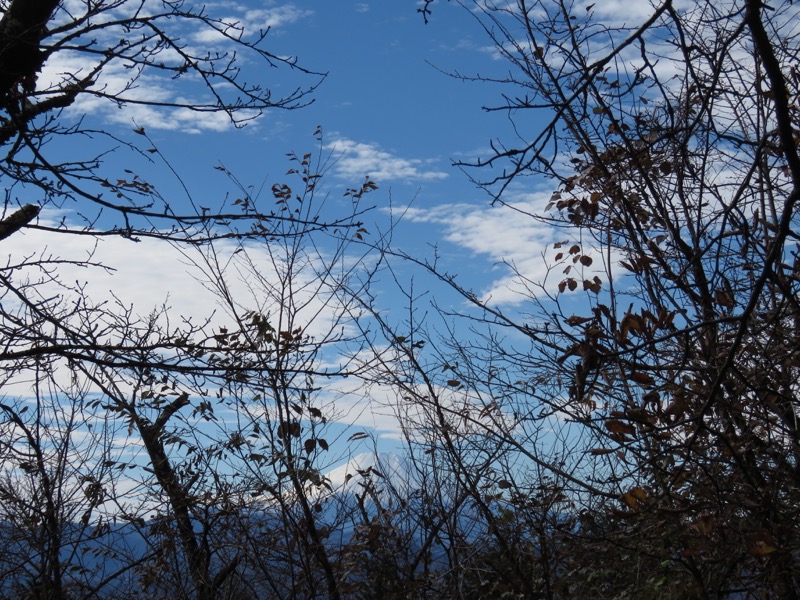 笹尾根〜陣馬山