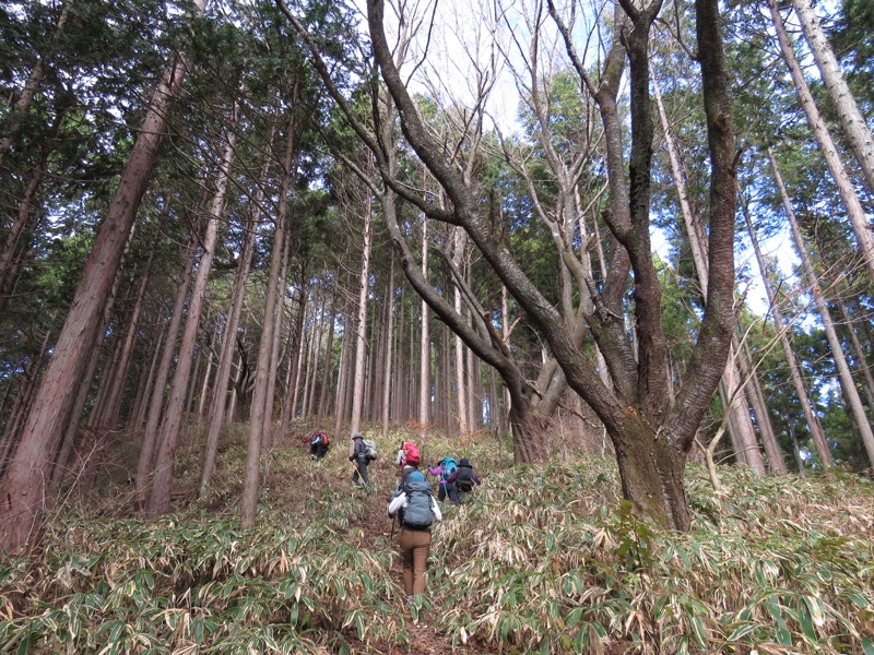 笹尾根〜陣馬山