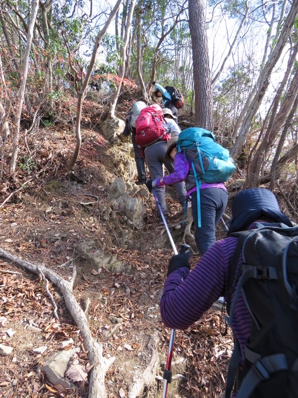 笹尾根〜陣馬山