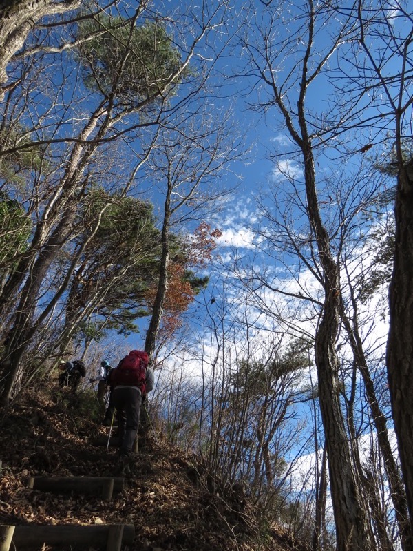 笹尾根〜陣馬山