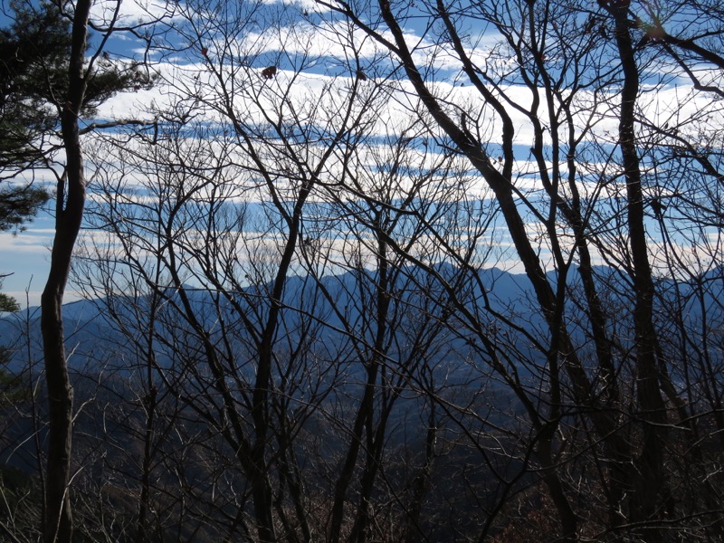 笹尾根〜陣馬山