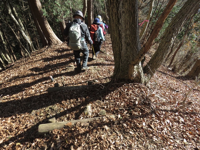 笹尾根〜陣馬山