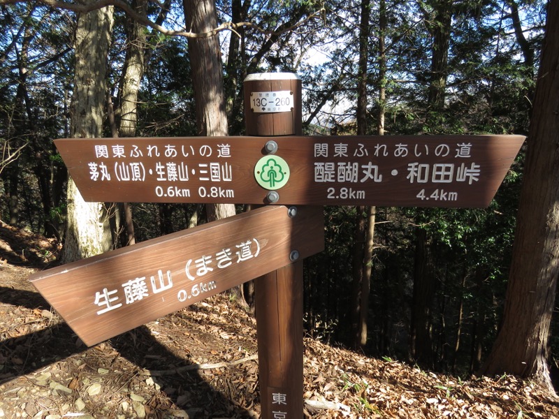 笹尾根〜陣馬山