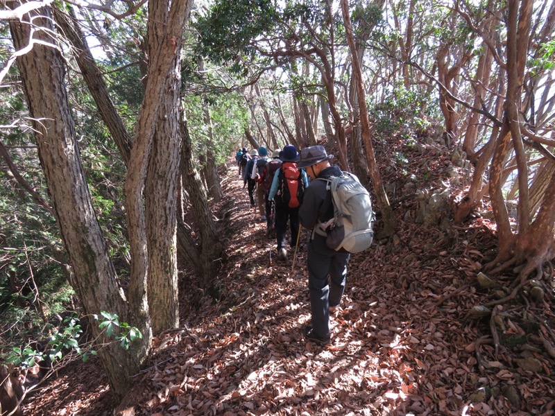 笹尾根〜陣馬山