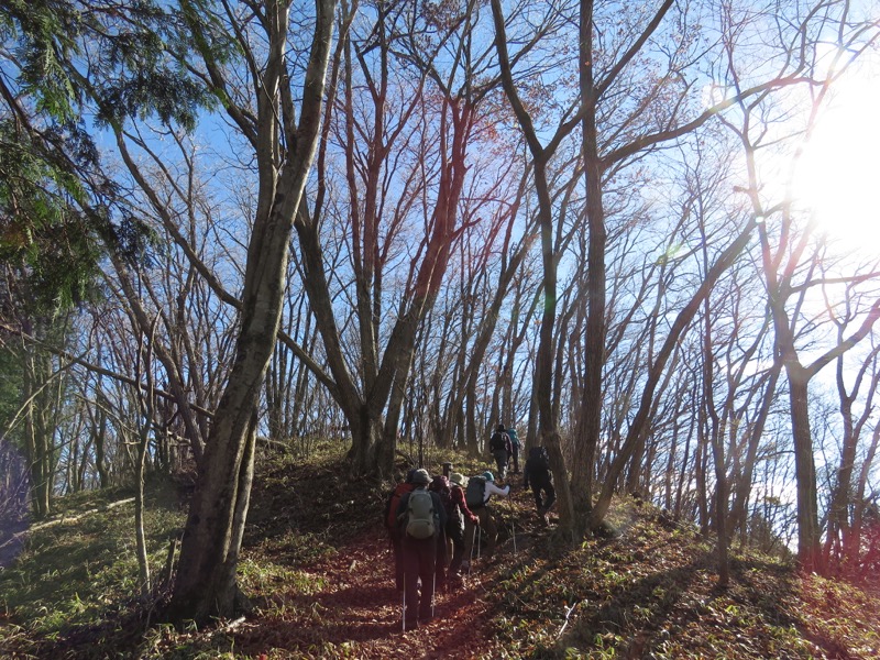 笹尾根〜陣馬山