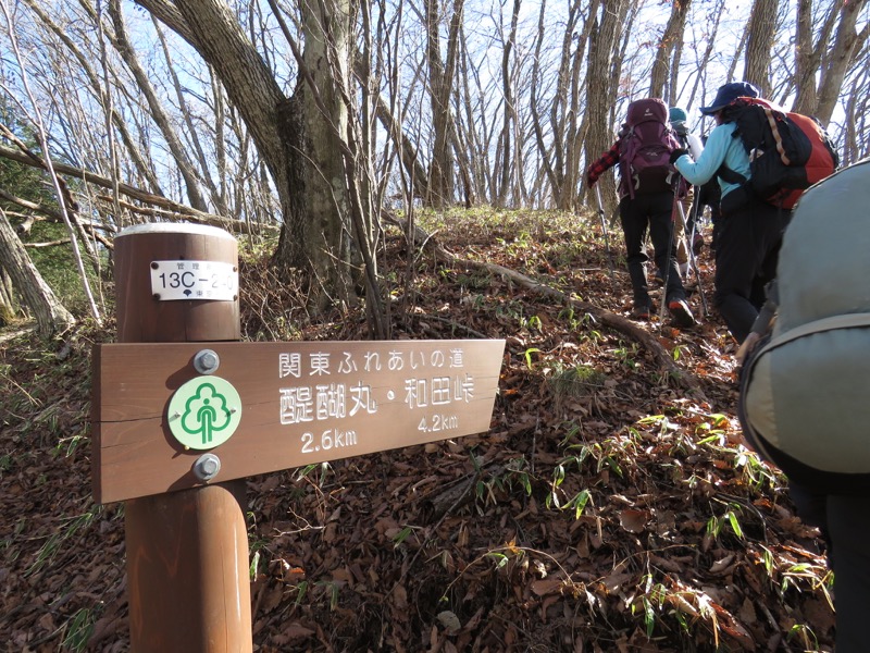 笹尾根〜陣馬山