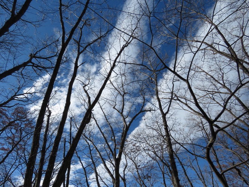 笹尾根〜陣馬山