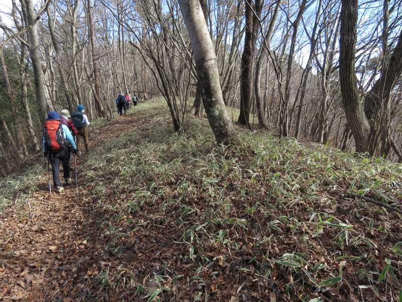 笹尾根〜陣馬山