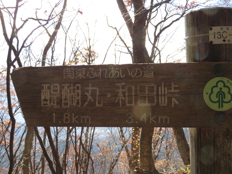 笹尾根〜陣馬山