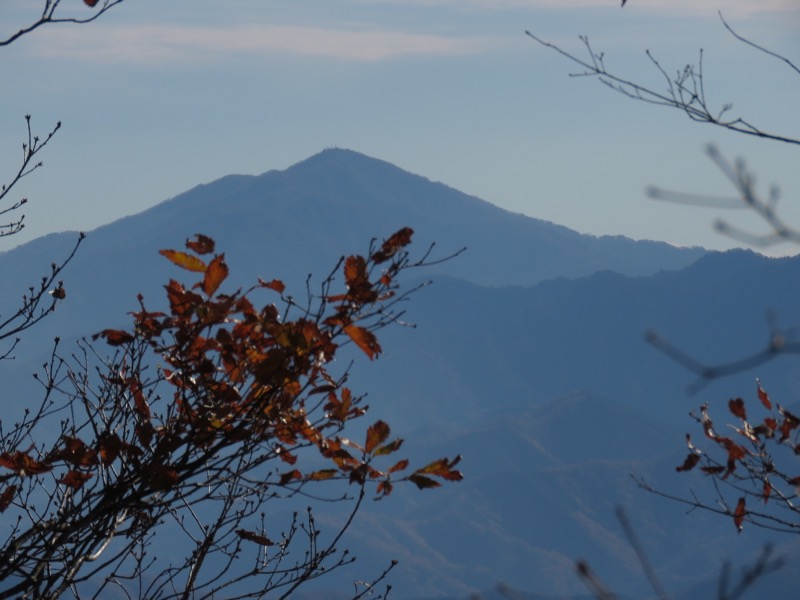 笹尾根〜陣馬山