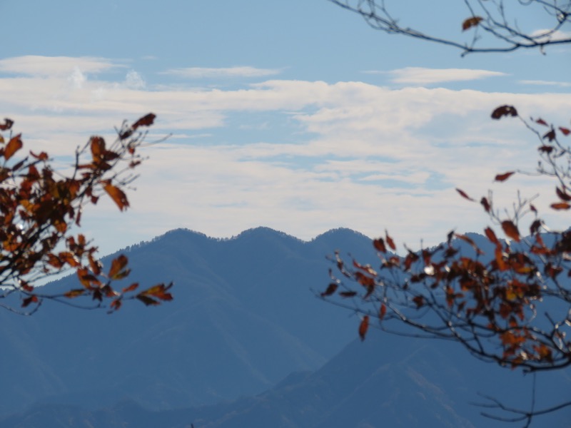 笹尾根〜陣馬山