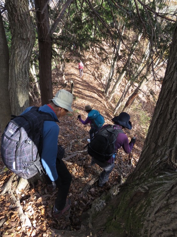 笹尾根〜陣馬山