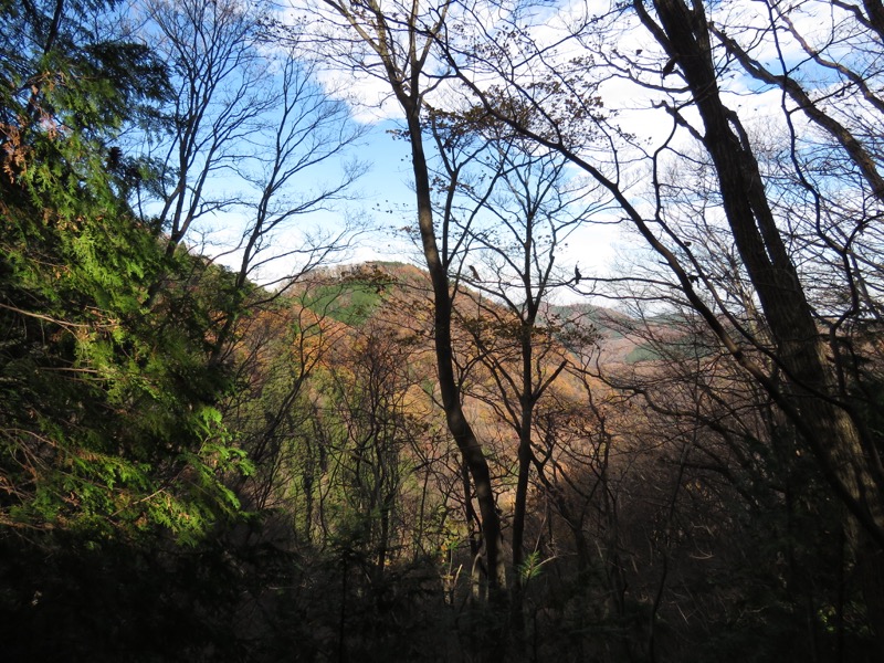 笹尾根〜陣馬山