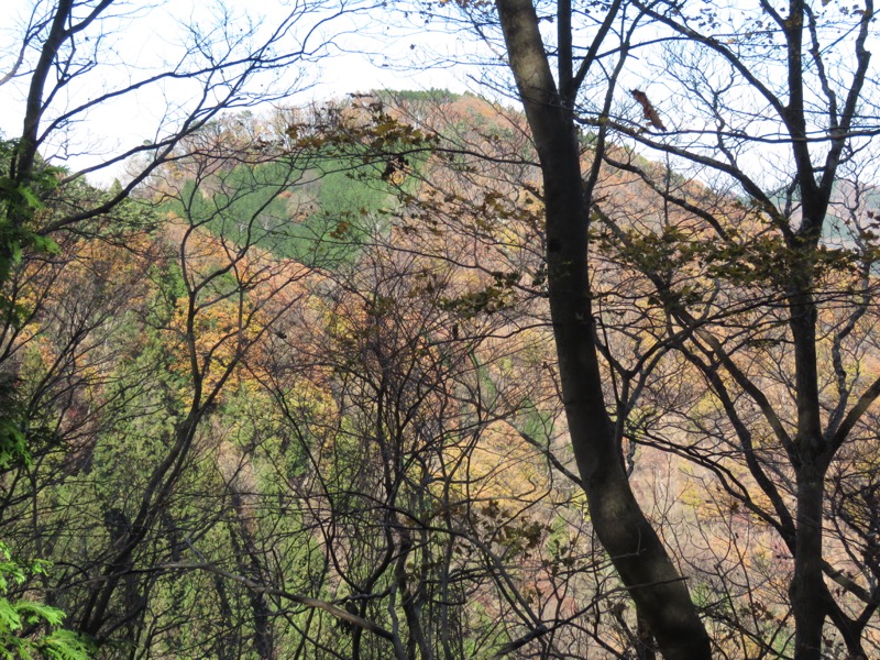 笹尾根〜陣馬山