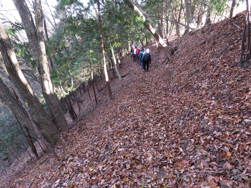 笹尾根〜陣馬山