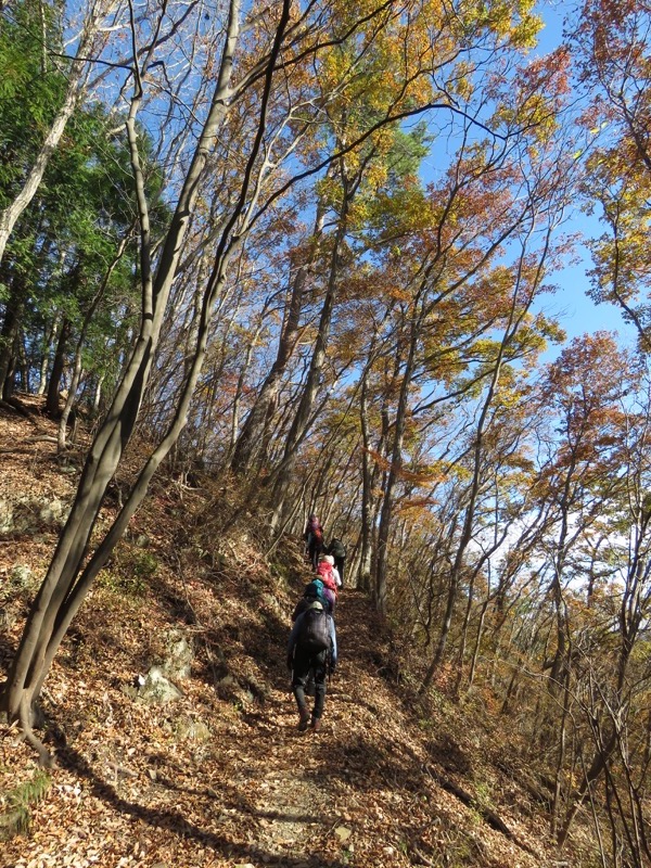 笹尾根〜陣馬山