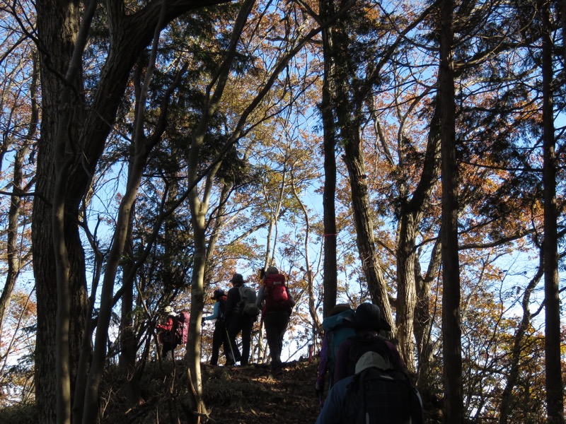 笹尾根〜陣馬山