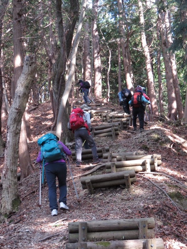 笹尾根〜陣馬山