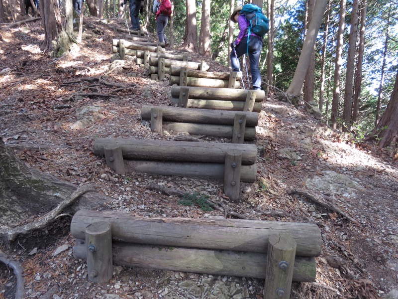 笹尾根〜陣馬山