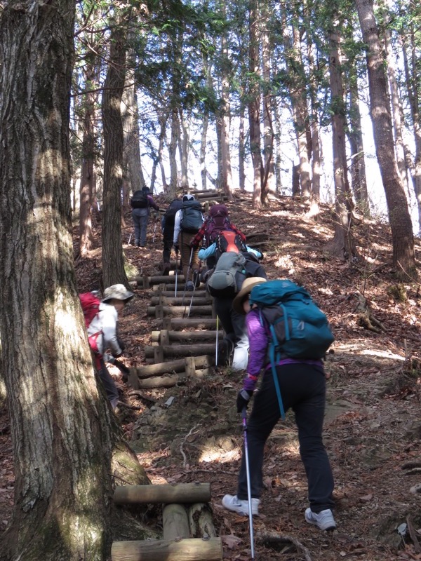 笹尾根〜陣馬山