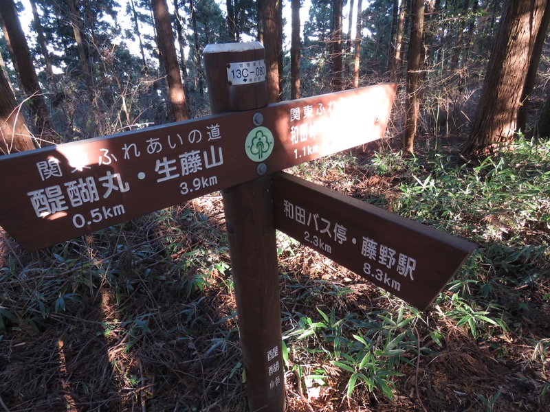 笹尾根〜陣馬山