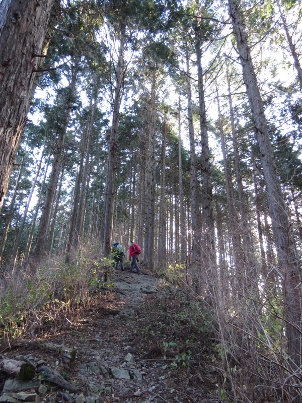 笹尾根〜陣馬山