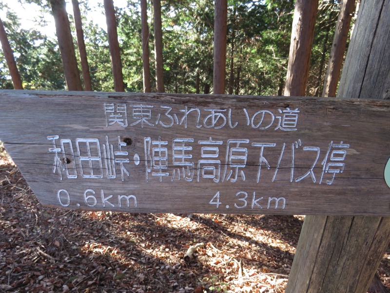 笹尾根〜陣馬山