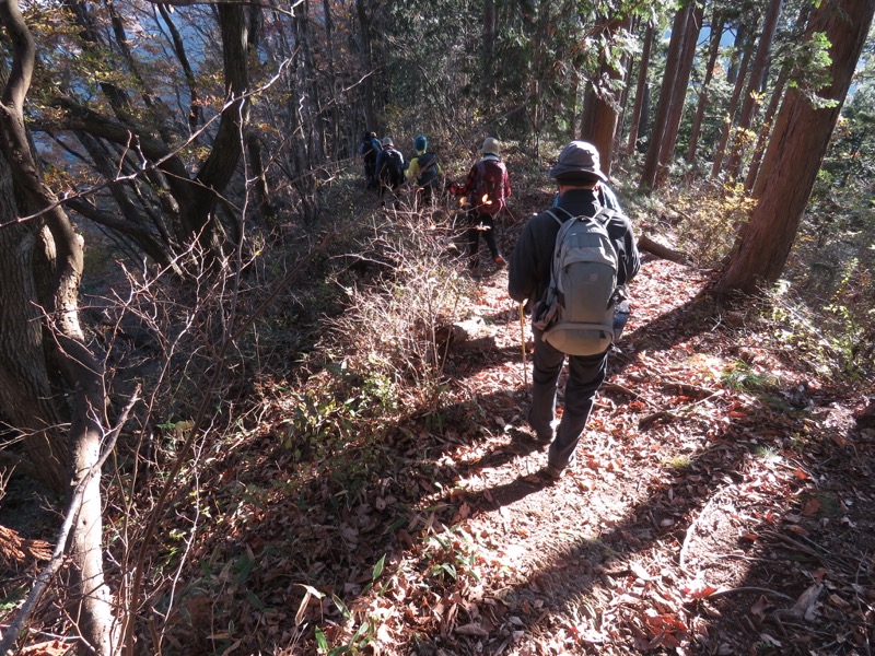 笹尾根〜陣馬山