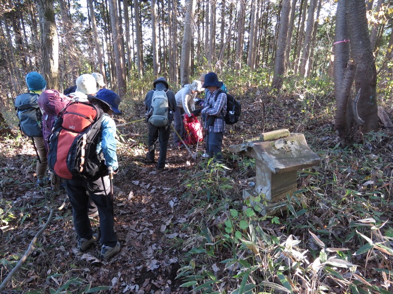 笹尾根〜陣馬山