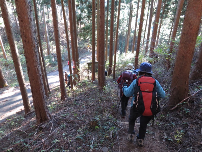 笹尾根〜陣馬山